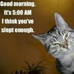 It's 5am - Do Ya Really Want To Do This Right Now
