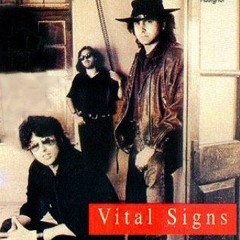 Tum Mil Gaye (Vital Signs Cover)