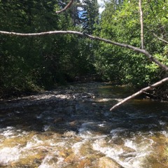 Ncs hideaway
