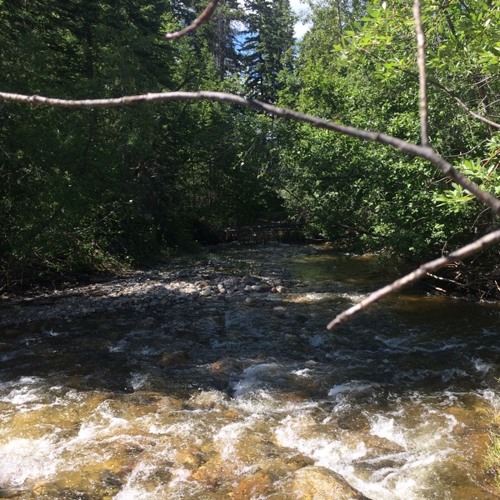 Ncs hideaway