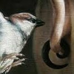 Rico Ft Skull P-Birds Say