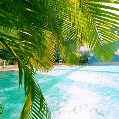Triple Rythm(Tropical House)