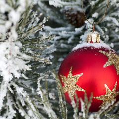 we wish you a marry christmas remix