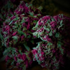 INK - POULA - Deal Green/Instrumental {PROD . SKEN}