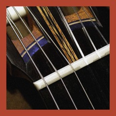 Soul Surplus :: Smythe Nylon Guitar Pack (Demo)