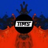 Imagine Dragons Whatever It Takes Tims Remix Mp3