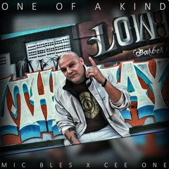 Mic Bles_One of a kind MASTER