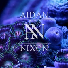 Aidan Nixon - Seabed