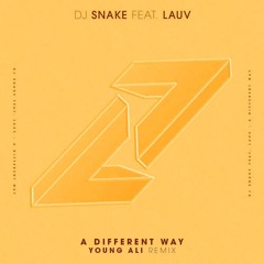 Dj Snake - A Different Way ( Young Ali remix)