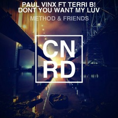 Paul Vinx FT TERRI B! - Don't You Want My Luv