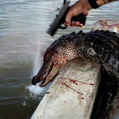 T3 x M.I.A Freestyle snipit.mp3