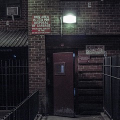 Zanida X D. Melo - Realism (prod. by Dran Fresh)