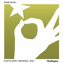 Rino(IO)DJ - Cantaloop (Original Mix)