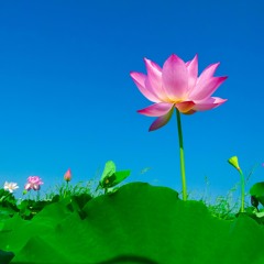 ॐ asato mā sad gamaya