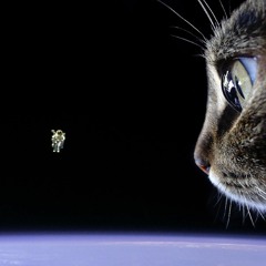In Space