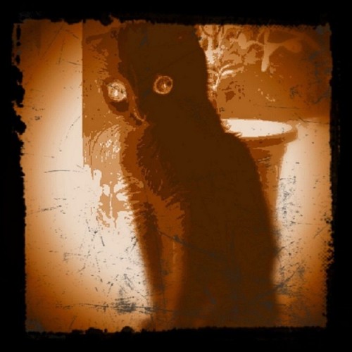 1h24 PsyTranceMix