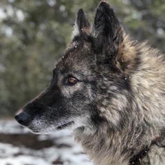 Taylor Swift/One Republic Mash Up Cover by Britt Straw