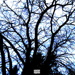 Небесные Кроны [Prod. By Fatal-M]