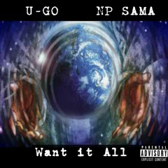 Want it All (feat. Noyuźr)