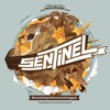 Dubs Full Hundred - Sentinel & Ricky Trooper @HalleW, Geneva Switzerland 11.2017