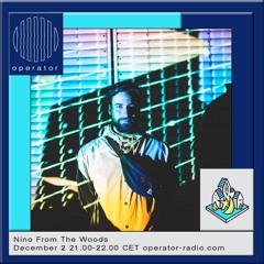 Nino From The Woods @ Blijdorp Winterfestival - 2nd December 2017