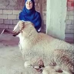 صوت يبكي الحجر في اجمل قراءة للقرآن الكريم للمنشدة خولة الدرقاوي - ماشاء الله - YouTube.MKV
