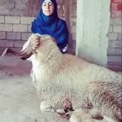 صوت يبكي الحجر في اجمل قراءة للقرآن الكريم للمنشدة خولة الدرقاوي - ماشاء الله - YouTube.MKV