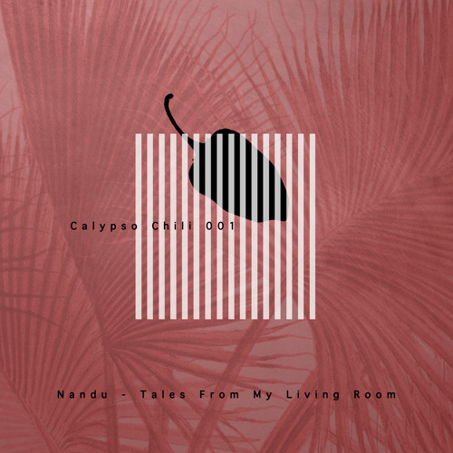 PREMIERE : Nandu - When The Tides Shift [Calypso Chili]