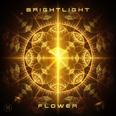 Brightlight - Flower (Original mix)- Out 11 Dec!