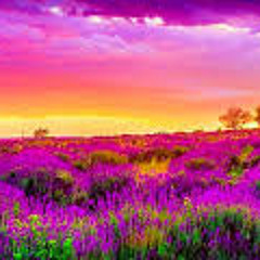 Higher Heights 2 - (Web Mix)