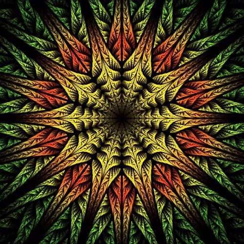 Jad Rmili Psychedelic Trance Jadz Beats Spinnin Records Jad Rmili Psychedelic Trance Jadz Beats Spinnin Records