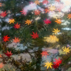 Falling🍂Leaves