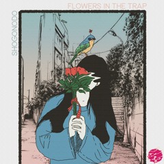 Shogonodo - Summer Feelings