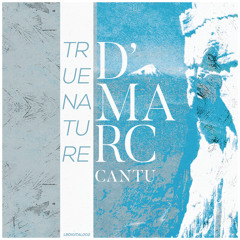 PREMIERE: D'Marc Cantu - Alone In The Dark [Little Beat Different]