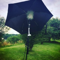 PLACE by David Dunn, Part 5