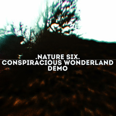 Conspiracious Wonderland