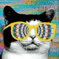 MROlive....I can feel(original mix)