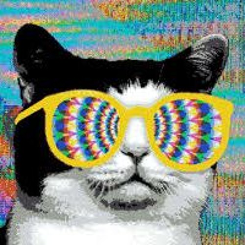 MROlive....I can feel(original mix)