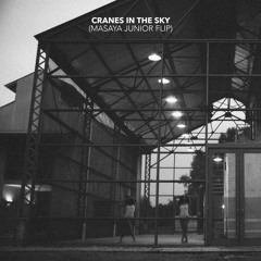 Cranes In The Sky