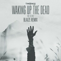 Two Owls - Waking Up The Dead Ft. Elle Vee (Blaize Remix)