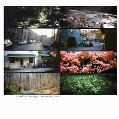 American Pleasure Club - florida (voicemail)