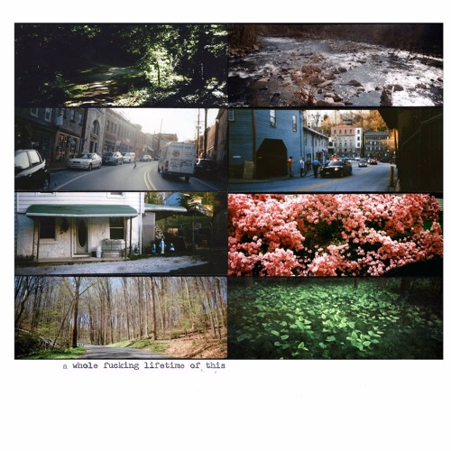 American Pleasure Club - this is heaven & id die for it