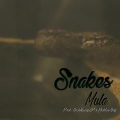 Snakes (Prod. CashMoneyAP & KingLeeBoy)