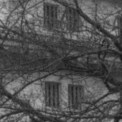 0001 4 - Audio life is a organ