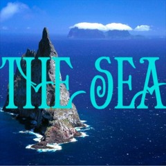 费比 - _Thesea_