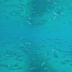 Leonardo Saad - Volta Clima