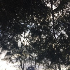 Goodnight Irene (The Weavers Cover) Ft. Kaylen Mackenzie