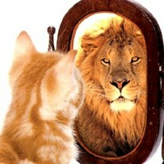 Páulo Smíth Ft. Thaína Sílva -Motivation/#Rap23/🎧🎬🎤 🦁/