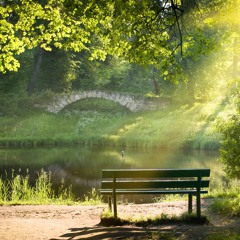 Pequeno Silenciamento
