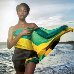 FYAH SHAUN VOL1 2017 MIX